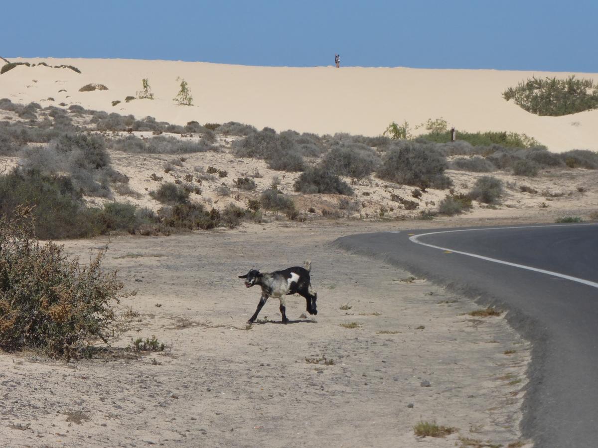 Marvida Villa Corralejo Bagian luar foto